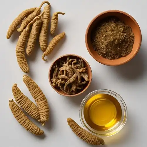 Why Cordyceps Militaris Extract is Gaining Popularity in Pharmaceuticals?